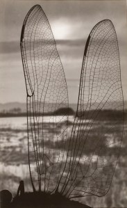 tumblr_ndv76yYL2a1qf91zfo1_1280-625x1024