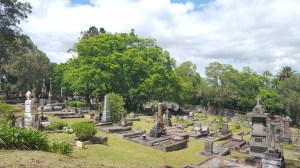 cemetery at St John's Gordon